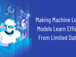 machine learning development services